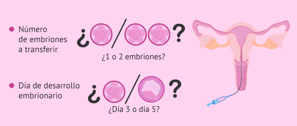 Transferencia-de-embriones-en-gestacion-subrogada