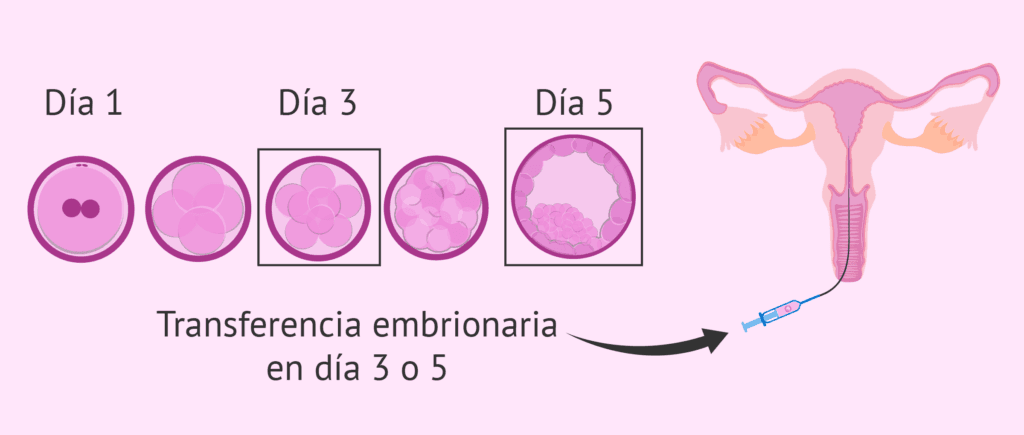 dia-3-versus-dia-5