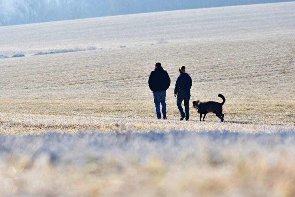 Walking the dog. Beautiful winter seasonal background in nature.