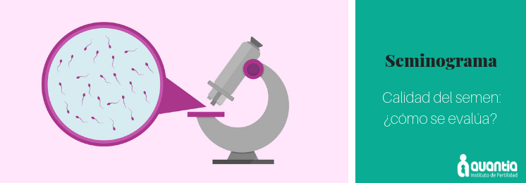 Calidad del semen: ¿cómo se evalúa?