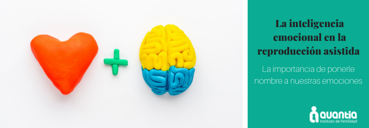 Inteligencia emocional y Reproducción asistida