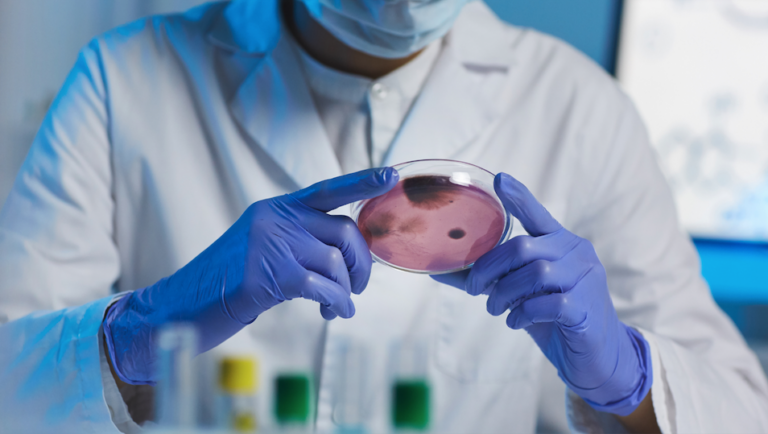 Infertilidad inmunológica: cómo afecta el sistema inmunológico a la fertilidad y qué tratamientos existen￼